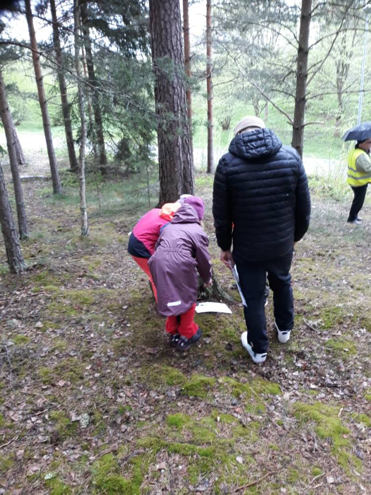 Ulkovaatteisiin pukeutuneet aikuinen ja kaksi lasta tutkivat metsässä maassa olevaa tehtävää. Taustalla on toinen aikuinen sateenvarjon kanssa.