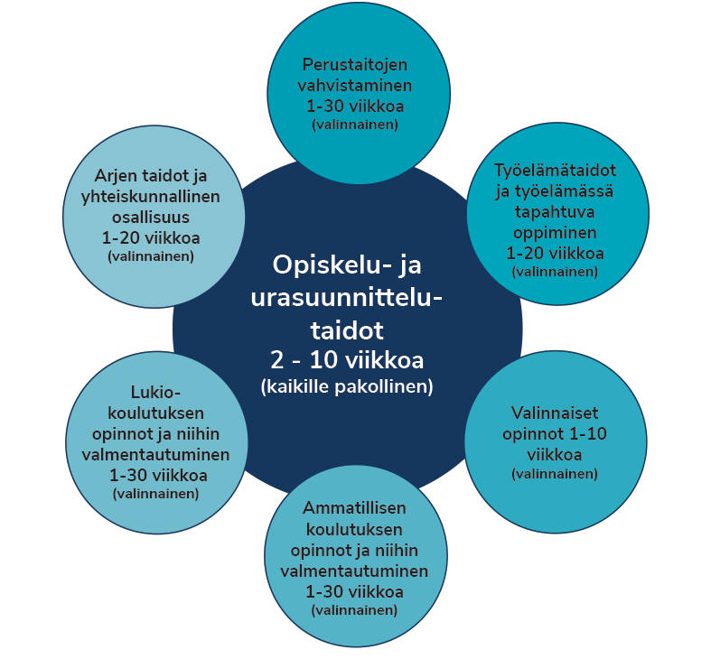 Infograafi TUVAn sisällöstä.