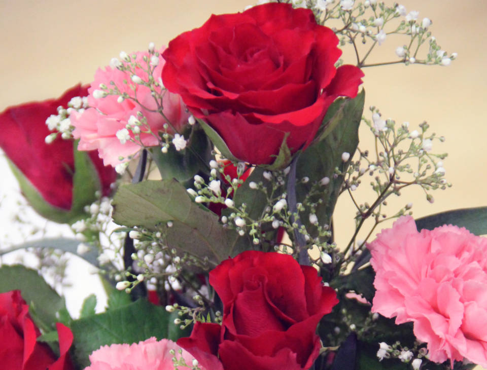 Tumman punaisia ruusuja, vaalenapunaisia neilikoita ja harsokukkaa asetelmassa.