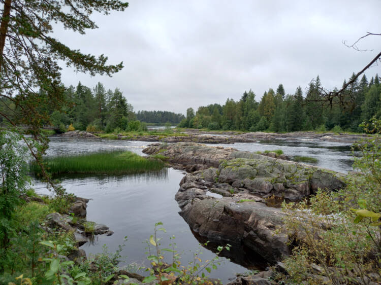 A summer river landscape.